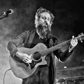 IRON AND WINE