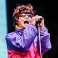 OLIVER TREE