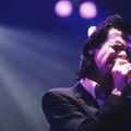 NICK CAVE & THE BAD SEEDS, KYLIE MINOGUE