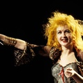 CYNDI LAUPER
